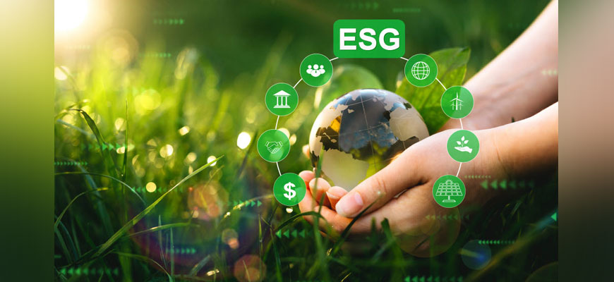 Responsabilidade ambiental: Tudo o que você precisa saber sobre o ESG